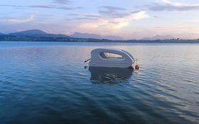 Glamping Wallersee - Unter dem Kastanienbaum